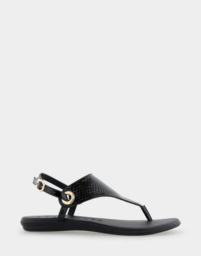 Aerosoles Comfortable Women039s Back Strap Thong Sandal In Black Snake Patent Faux Leather Black Snake Patent Faux Leather Women Flats Aerosoles Comfortable Women039s Back Strap Thong Sandal In Black Snake Patent Faux Leather Black Snake Patent Faux Leather Women Flats