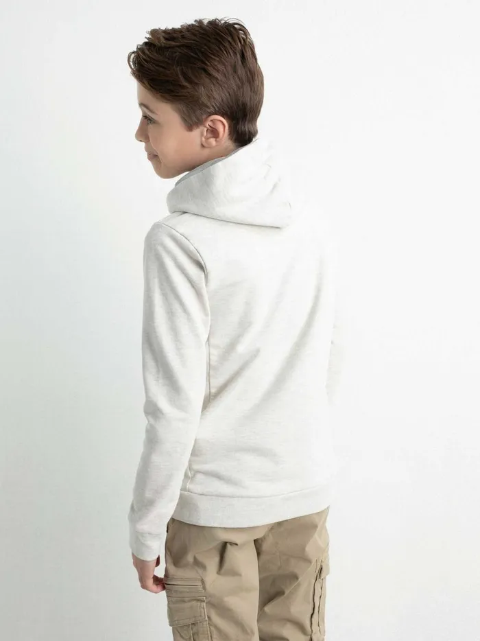 Boys Knits and Sweats Petrol Industries Hoodie With Logo Artwork Antique White Melee