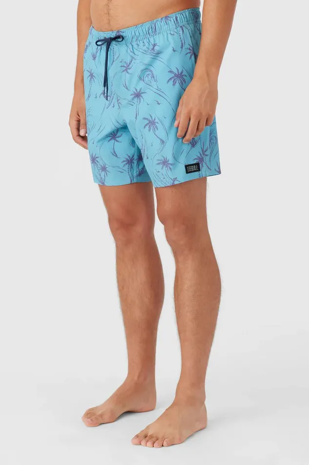 HERMOSA ELASTIC WAIST LINED 17034 SWIM TRUNKS Blue Fade Men O039NEILL Type