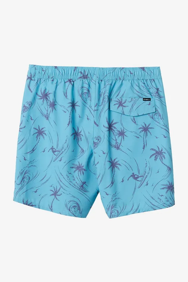 HERMOSA ELASTIC WAIST LINED 17034 SWIM TRUNKS Blue Fade Men O039NEILL Type