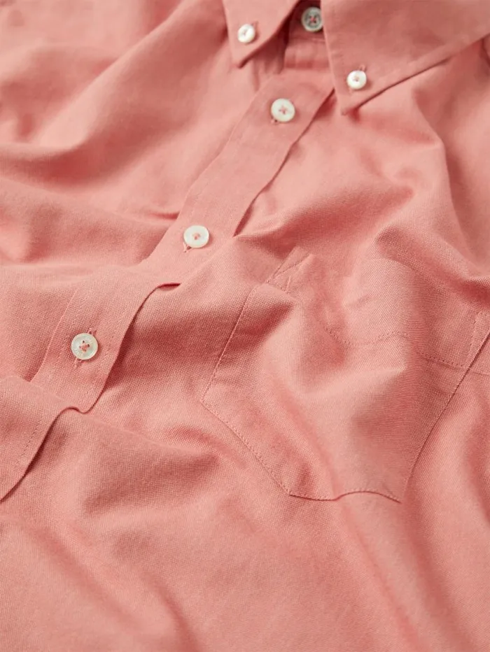 Men Ben Sherman Short Sleeve Shirts Signature Organic ShortSleeve Oxford Shirt 8211 Raspberry Men Ben Sherman Short Sleeve Shirts Signature Organic ShortSleeve Oxford Shirt 8211 Raspberry