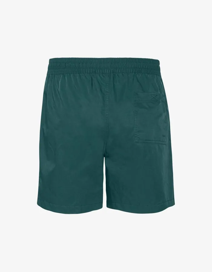 Men Shorts Colorful Standard Classic Swim Shorts Ocean Green