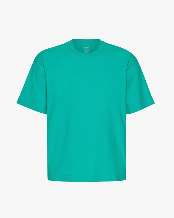 Men TShirts Colorful Standard Oversized Organic TShirt Tropical Sea