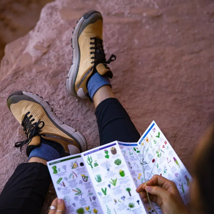 Trail 2650 GTX Prairie SandGray Women Danner Shoes