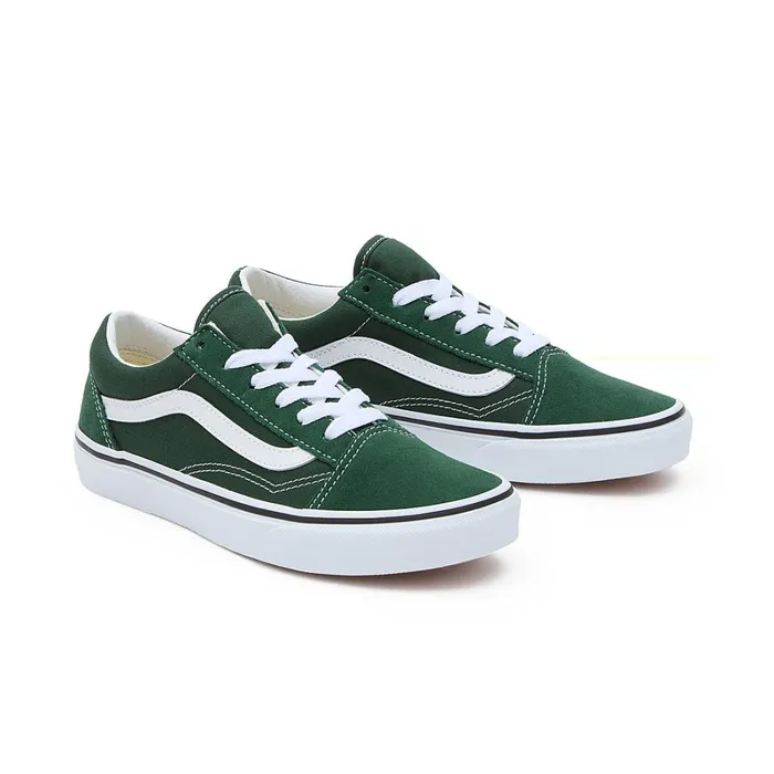 Vans Classics Kids Youth Color Theory Old Skool Shoes 814 Years Green
