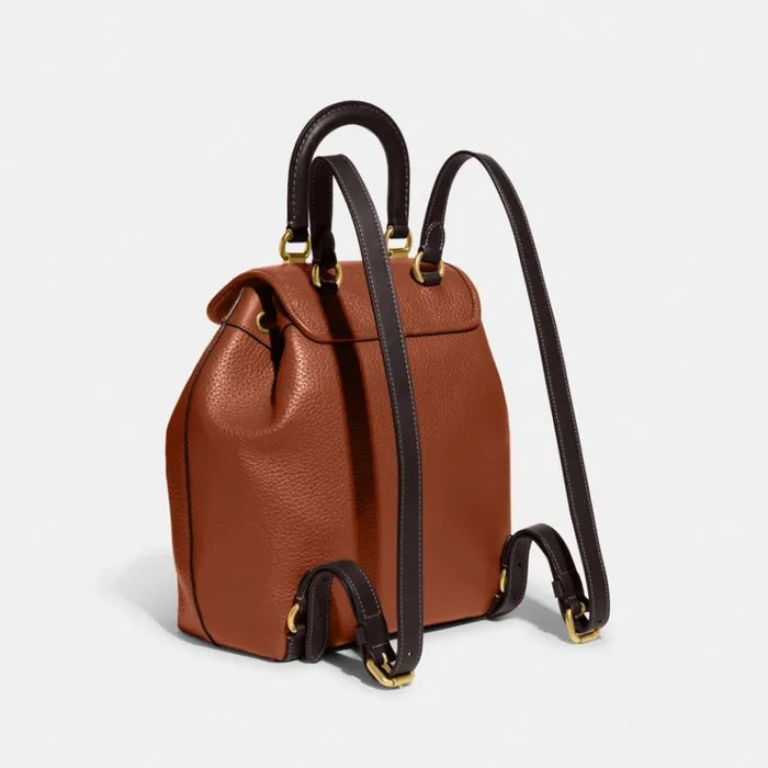 Women Backpacks Coach Riya Backpack In Colorblock Brass1941 Saddle Multi