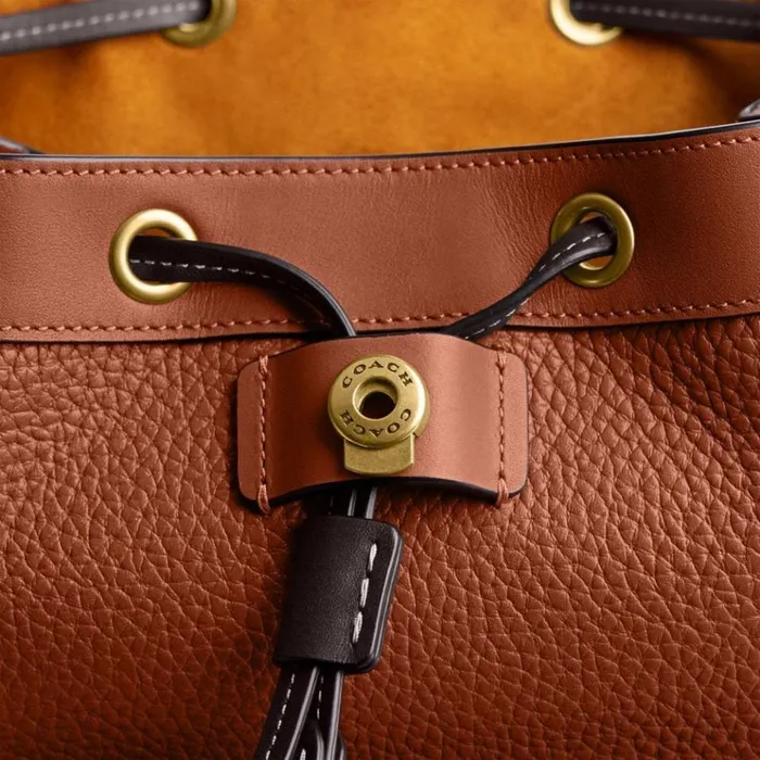 Women Backpacks Coach Riya Backpack In Colorblock Brass1941 Saddle Multi