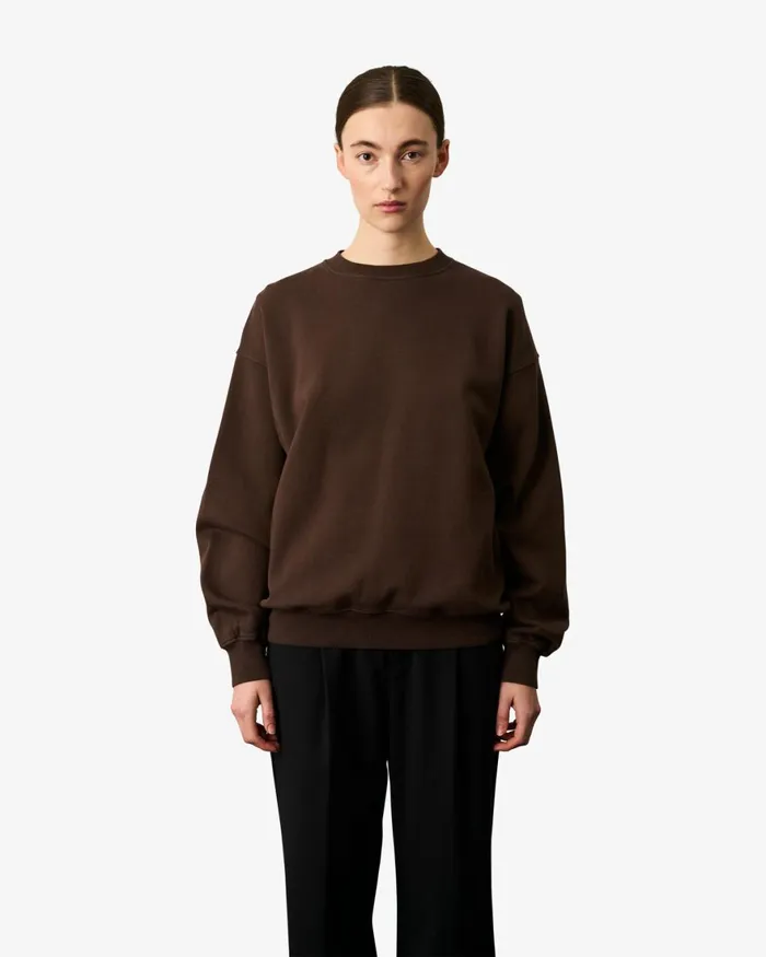 Women Crewneck Sweatshirts Colorful Standard Organic Oversized Crew Coffee Brown