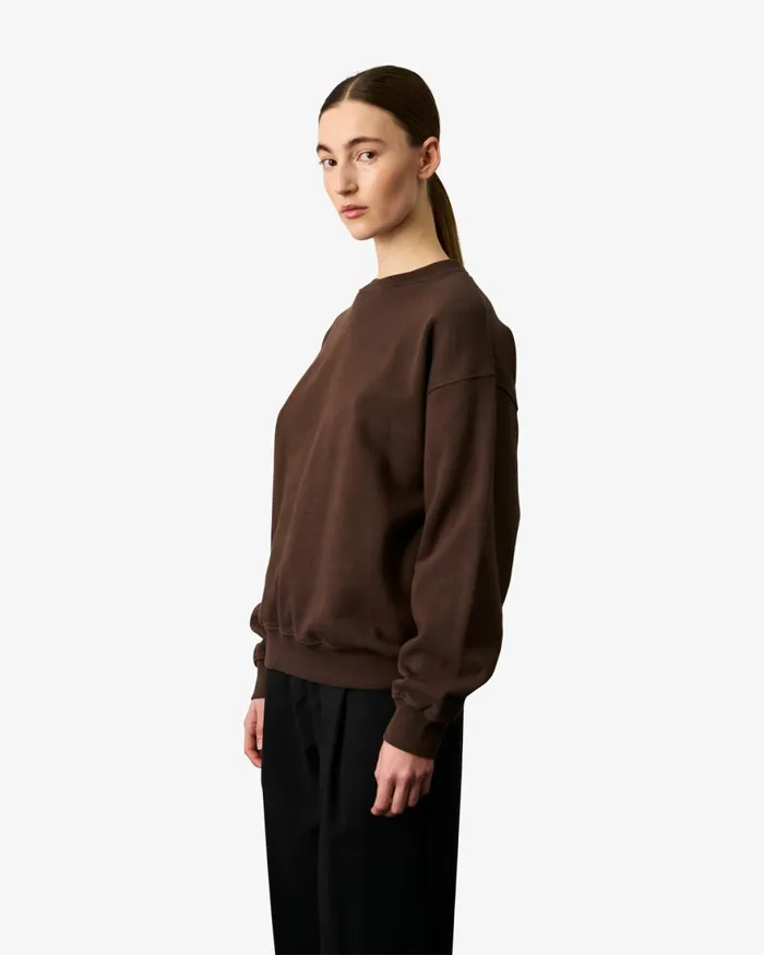 Women Crewneck Sweatshirts Colorful Standard Organic Oversized Crew Coffee Brown
