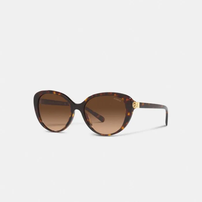 Women Eyewear Coach Horse And Carriage Cat Eye Sunglasses Dark Tortoise