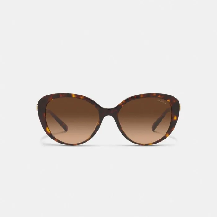 Women Eyewear Coach Horse And Carriage Cat Eye Sunglasses Dark Tortoise