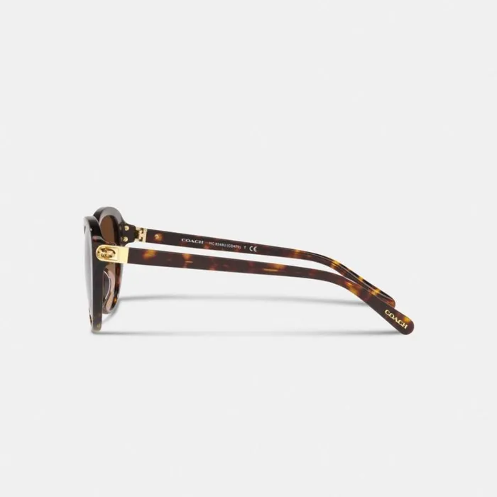 Women Eyewear Coach Horse And Carriage Cat Eye Sunglasses Dark Tortoise