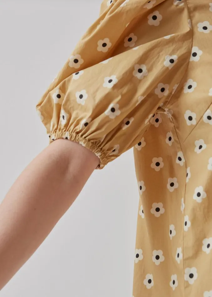 Women Modstrm Dresses RossaMD Print Dress Starfish Daisy Women Modstrm Dresses RossaMD Print Dress Starfish Daisy
