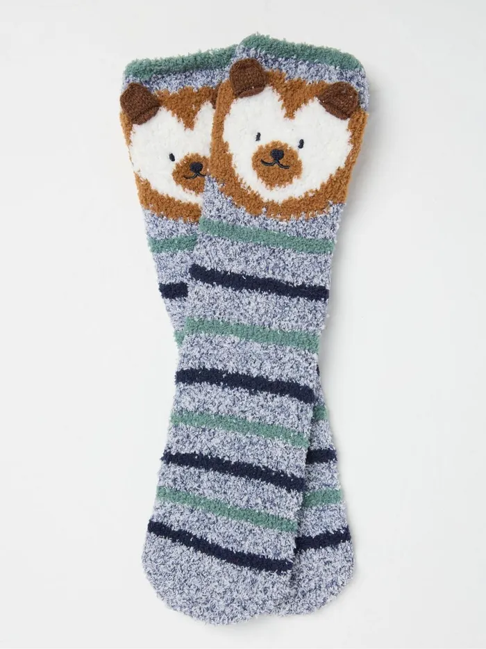 Women Socks and Tights Fat Face Brown Hedgehog Socks Box